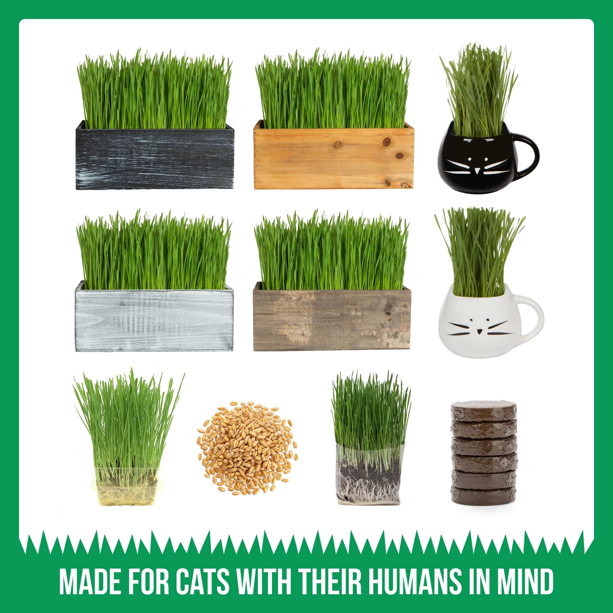 Organic Cat Grass Kit with Black Cat Ceramic Planter, Easy Indoor Planting Gift Set
